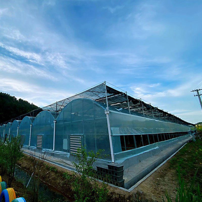黃埔溫室工程